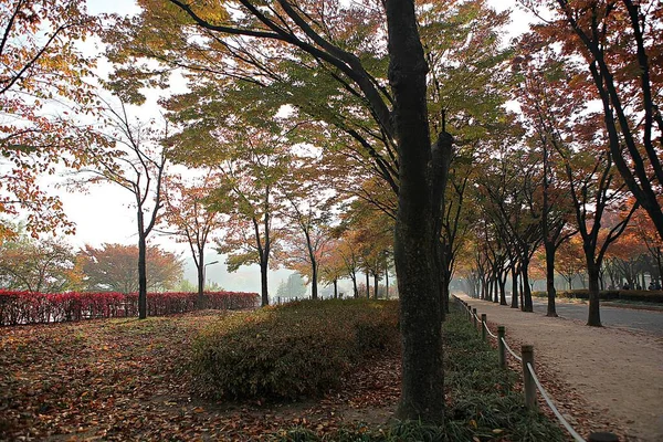 Paesaggio Prestito Della Campagna Coreana — Foto Stock