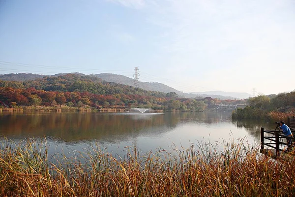 Kore kırsalının mercan manzarası.