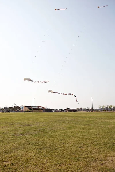 Kore kırsalının mercan manzarası.