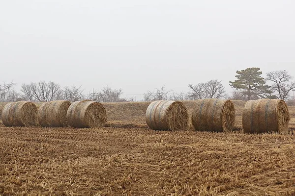 Ist Eine Lendscape Der Koreanischen Landschaft — Stockfoto