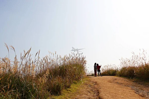 Paisaje Campiña Coreana — Foto de Stock