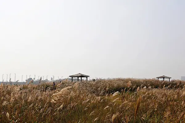 Paisaje Campiña Coreana — Foto de Stock