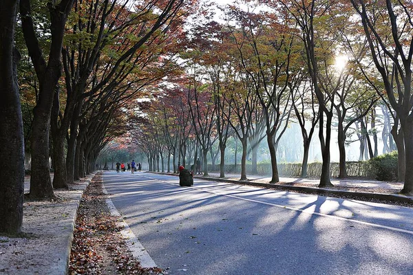 Paesaggio Prestito Della Campagna Coreana — Foto Stock