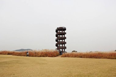 Kore 'de bir bataklık ve Ikoloji parkı.