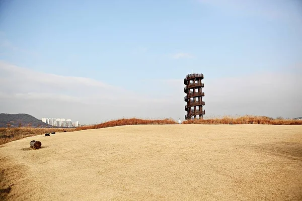 韓国の湿地植民地公園です — ストック写真