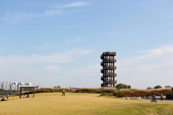 Wetalnd Lcologial Parque Corea — Foto de Stock