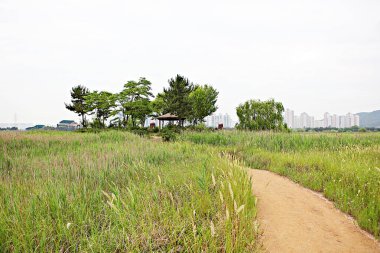 Kore 'de bataklık ve ekolojik bir park.