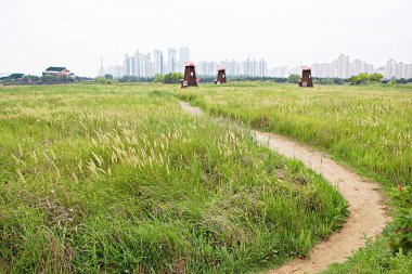 Kore 'de bataklık ve ekolojik bir park.