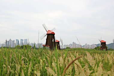 Kore 'de bataklık ve ekolojik bir park.