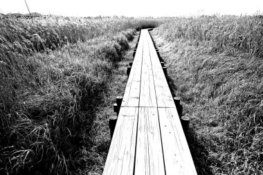 Kore 'de bataklık ve ekolojik bir park.