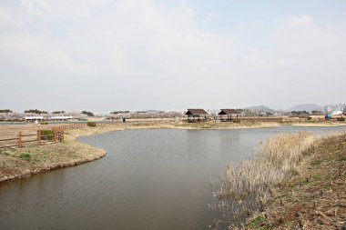 Kore 'de bataklık ve ekolojik bir park.