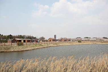 Kore 'de bataklık ve ekolojik bir park.