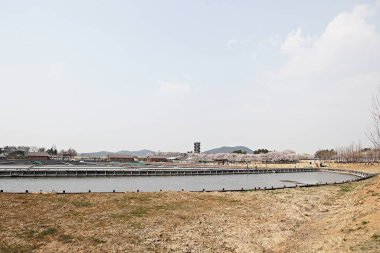 Kore 'de bataklık ve ekolojik bir park.