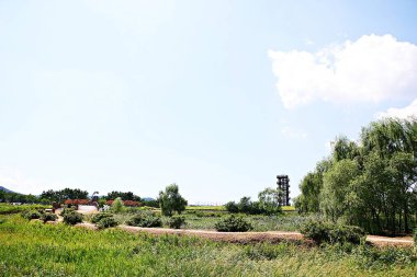 Kore 'de bataklık ve ekolojik bir park.