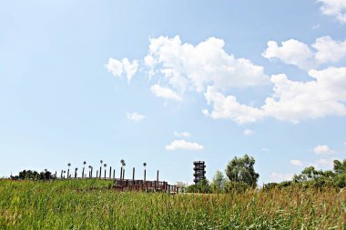 Kore 'de bataklık ve ekolojik bir park.