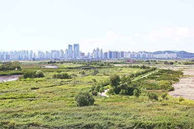 Kore 'de bataklık ve ekolojik bir park.