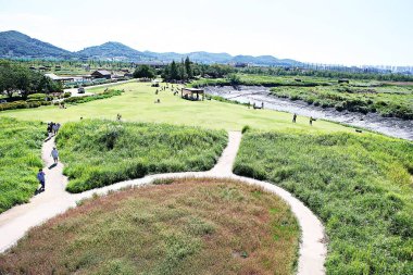 Kore 'de bataklık ve ekolojik bir park.