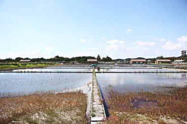 Kore 'de bataklık ve ekolojik bir park.