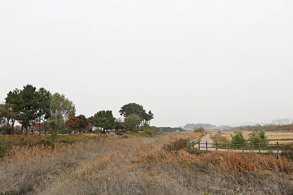 Parque Ecológico Húmido Coréia — Fotografia de Stock