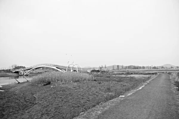 Parque Ecológico Húmido Coréia — Fotografia de Stock