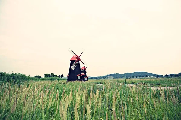 Parque Ecológico Wetalnd Corea — Foto de Stock