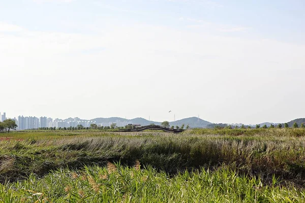 Het Een Wetalnd Ecologisch Park Korea — Stockfoto