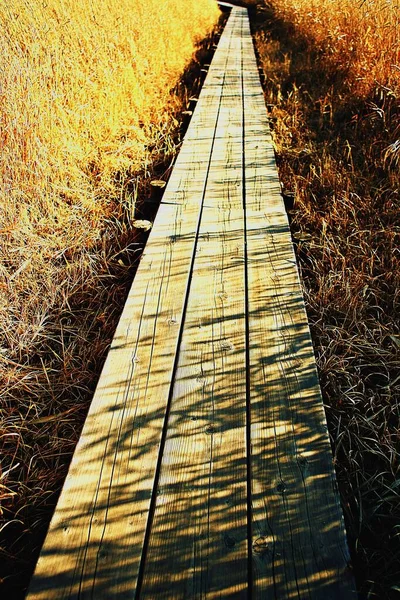 Parque Ecológico Wetalnd Corea — Foto de Stock