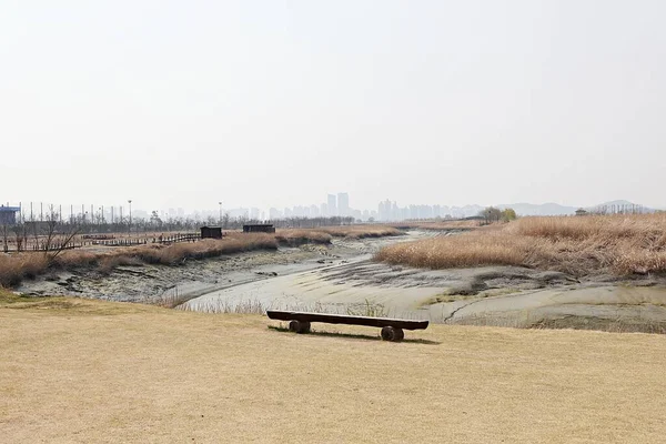 Parque Ecológico Wetalnd Corea —  Fotos de Stock