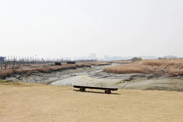 Parque Ecológico Wetalnd Corea — Foto de Stock