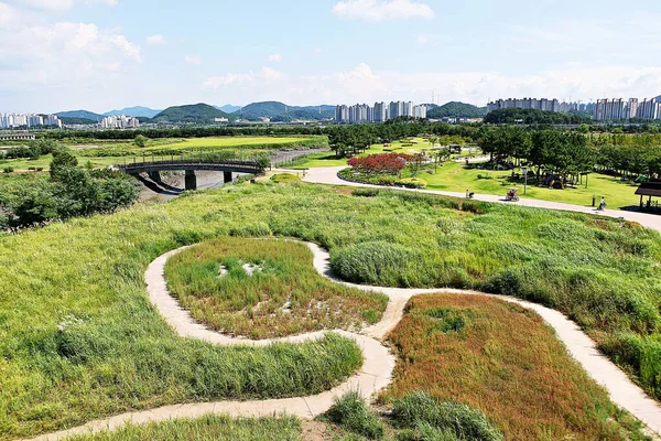 Est Parc Humide Écologique Corée — Photo