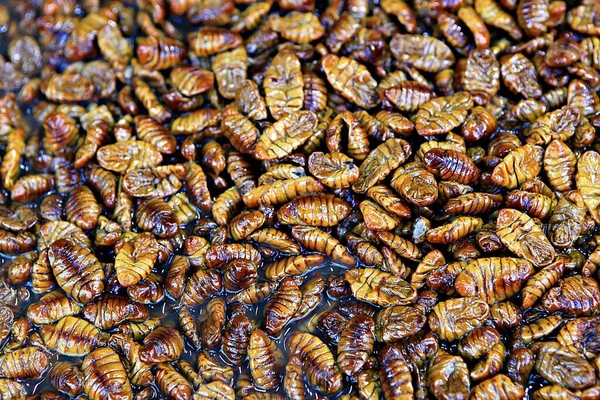 Alimentos Que Podem Ser Facilmente Comidos Enquanto Passeia Coréia — Fotografia de Stock