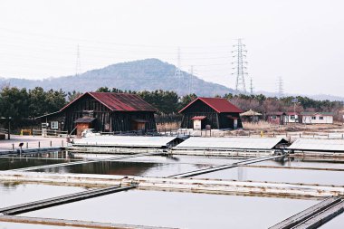 Kore tuzunu yapan bir tuz tavasıdır.
