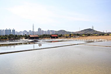 Kore tuzunu yapan bir tuz tavasıdır.