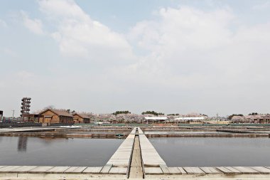 Kore tuzunu yapan bir tuz tavasıdır.