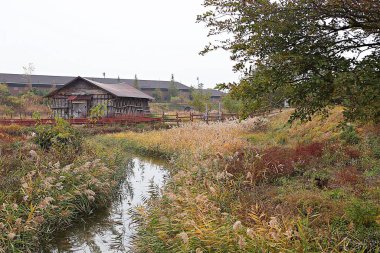 Burası Kore tuzunu depolayan bir depo.