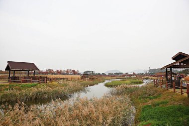 Burası Kore tuzunu depolayan bir depo.