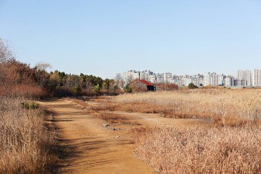 Burası Kore tuzunu depolayan bir depo.