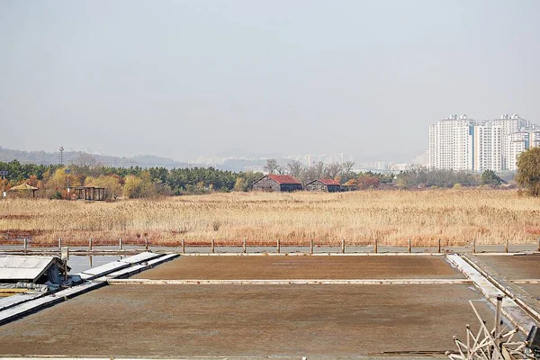 Ist Eine Salzpfanne Die Koreanisches Salz Macht — Stockfoto