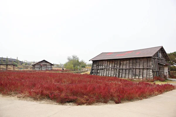 Tohle Skladiště Kde Skladuje Korejská Sůl — Stock fotografie