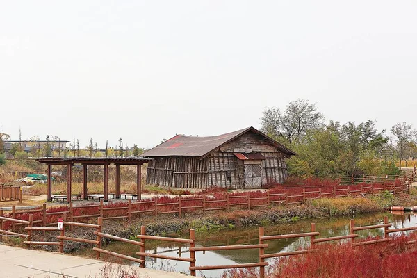 Склад Якому Зберігається Сіль Корі — стокове фото