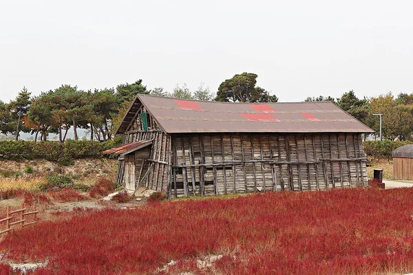 这是一个储存韩国盐的仓库 — 图库照片