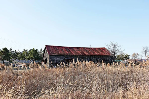 Est Entrepôt Qui Stocke Sel Coréen — Photo