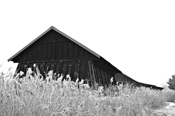 Tohle Skladiště Kde Skladuje Korejská Sůl — Stock fotografie