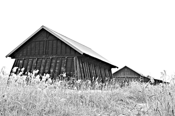 Tohle Skladiště Kde Skladuje Korejská Sůl — Stock fotografie