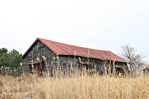 Est Entrepôt Qui Stocke Sel Coréen — Photo