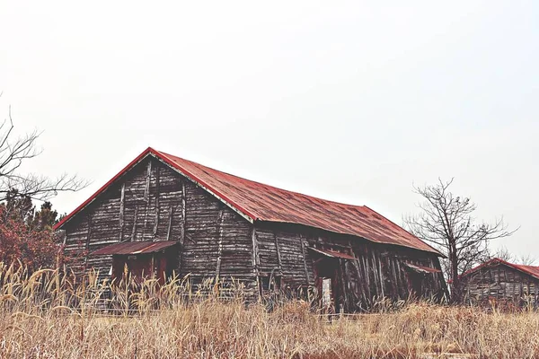 Tohle Skladiště Kde Skladuje Korejská Sůl — Stock fotografie