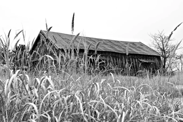 Este Armazém Que Armazena Sal Coreano — Fotografia de Stock