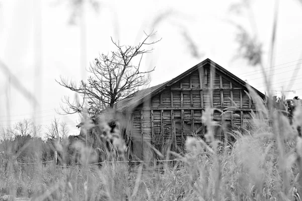 Est Entrepôt Qui Stocke Sel Coréen — Photo