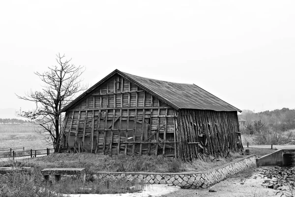 Est Entrepôt Qui Stocke Sel Coréen — Photo