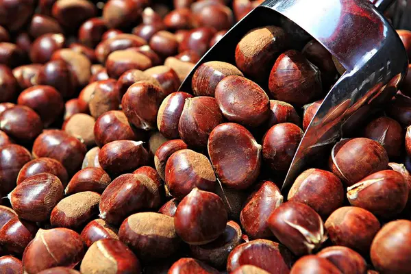 Korean Food Fruit Chestnut — Stock Photo, Image